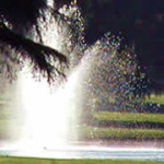 header-lawn-tree-landscape