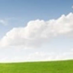 header-lawn-tree-landscape2