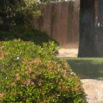 header-pest-control